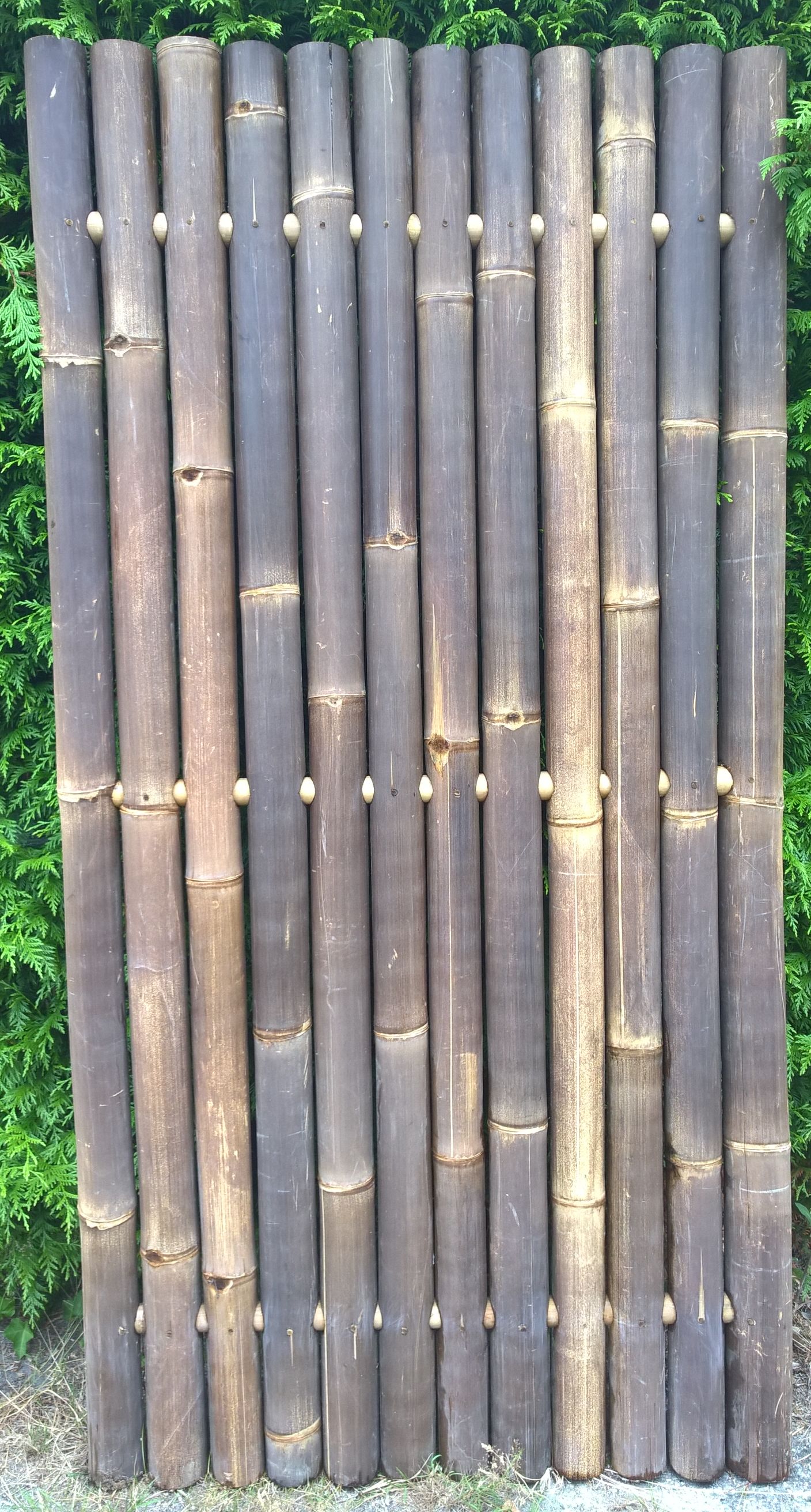 Plaats Ontwaken benzine Sumo – Bamboe Tuinschermen